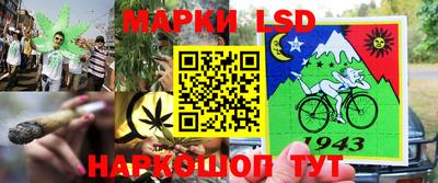 apvp Можга