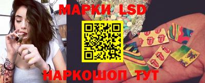 apvp Можга