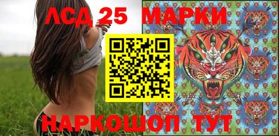 apvp Можга