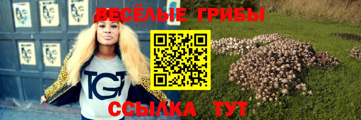 Галлюциногенные грибы мухоморы Солнечногорск