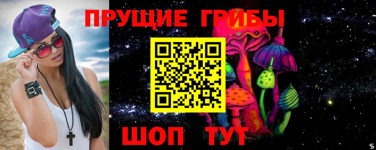 Солнечногорск  Галлюциногенные грибы Magic Shrooms  Вход с VPN 